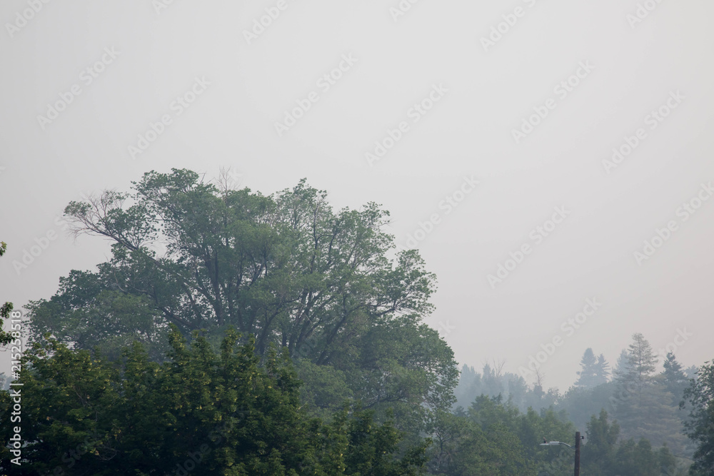 Bad Air Quality From The 416 Forest Fire In Durango Colorado Stock Bad Air Quality From The 416 Forest Fire In Durango Colorado Stock