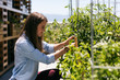 © seanlockephotography - Workspace: Businesswoman Takes A Break To Work In Rooftop Garden