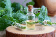 © Madeleine Steinbach - A bottle of peppermint essential oil with fresh blooming peppermint