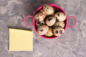 Canvas Print - One pink metal rural basin with handles full of spotted fresh quail eggs and yellow curved blank paper sticker on old broken worn gray cement floor