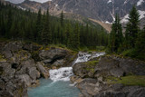 Fototapeta Na ścianę - Athabasca River Waterfall, Fryatt Valley