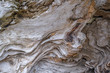 © dianarobinson - Closeup of driftwood on the beach at Ben Ure Spit on Whidbey Island, Washington