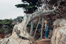 Hiking Woman On A Rocky Trail And Cypress Trees