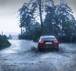 Canvas Print - car rides on road in downpour