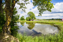 View Of The Small Pond Of A Country Farm On A Clear Summer Day, Latvia