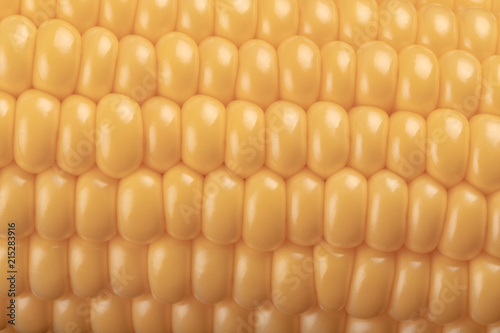 corn in the cob close-up of large grains of ripe