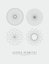 Sacred Geometry Line Vector Element Flower Of Life . Vector Illustration .