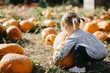 © Kristine Weilert/Stocksy - Toddler choosing large pumpkin
