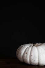 White Pumpkin On Dark Background