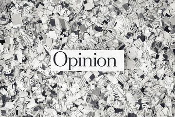 opinion on a bed of cut up newspaper