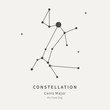 The Constellation Of Canis Major. The Great Dog - linear icon. Vector illustration of the concept of astronomy.
