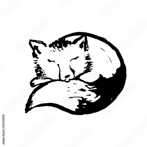 Black Outline Illustration Of Sleeping Fox Buy This Stock Vector