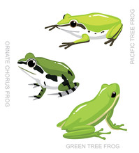 Frog Tree Frog Set Cartoon Vector Illustration