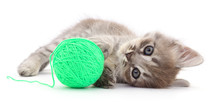 Kitten With Ball Of Yarn.