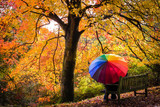 Fototapeta  - Autumn Colours