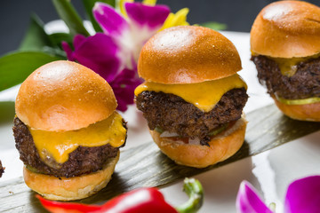 Close up shot of 3 sliders on a plate