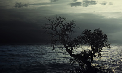 Wall Mural - Spooky tree.Background.