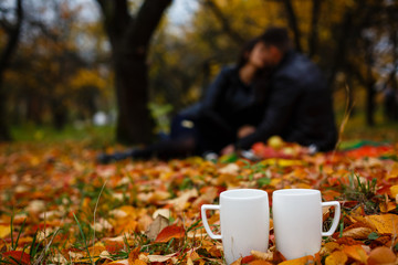 Two white porcelain cup of coffee or herbal tea , autumn fall concept Steam above Couple of mug standing near on dry yellow leaves and green grass on cold land Empty Trees park in perspective