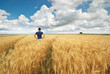 © GIS - Man in yellow wheat meadow.