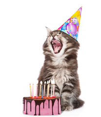 Poster - Kitten in birthday hat blows out the candles on the cake. isolated on white background