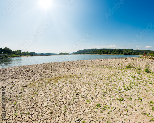 Plakat Wysuszone koryto rzeki między pachwinami, Ren, Nadrenia Północna-Westfalia, Niemcy