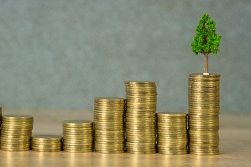 Tree growing on pile of golden coins, growth business finance investment and Corporate Social Responsibility or CSR practice and sustainable development concept.