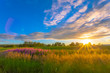 © ville - Summer sunset landscape from Sotkamo, Finland.