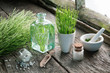 Horsetail healing herbs, bottle of equisetum infusion, mortar and bottles of homeopathic globules.