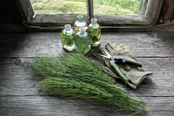 Wall Mural - Horsetail healing herbs, bottle of infusion, gloves and garden scissors on wooden table inside the retro house.