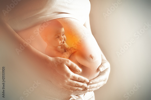 Cuadros en Lienzo conceptual motherhood image