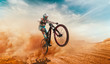 canvas print picture - Cyclist riding a bicycle. Downhill.