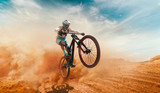 Cyclist riding a bicycle. Downhill.