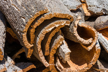 Cork Oak Bark Ready For Processing In Portugal