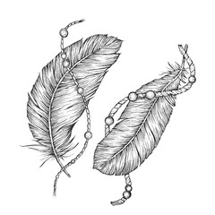 Wall Mural - detailed hand drawn vector feathers. ornate monochrome card.