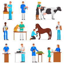 Veterinary Vector Veterinarian Doctor Man Or Woman Treating Pet Patients Cat Or Dog Illustration Set Of Vet People With Animalistic Characters In Vetclinic Isolated On White Background