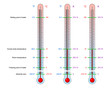 Thermometers with basic values of temperature with the scale division in units of Fahrenheit, Celsius, Kelvin. Vector illustration set of a visual material on thermodynamics for education and science.