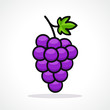 Vector illustration of grapes design icon