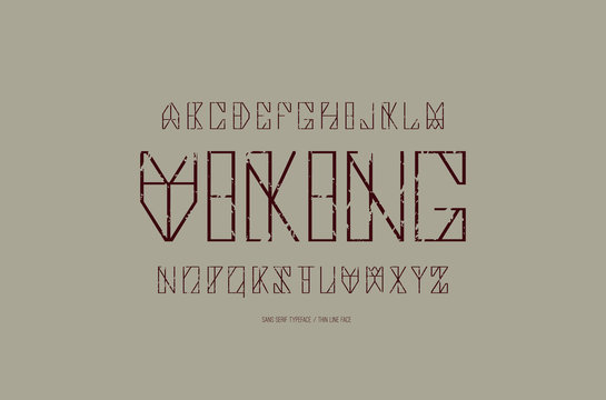 Geometric sans serif font in timbered house style
