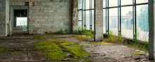 Industrial Interior At The Old Electronic Devices Factory With Big Windows And Empty Floor. Interior Inside An Abandoned Factory, Overgrown With Green Moss And Plants.