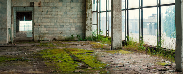 Industrial interior at the old electronic devices factory with big windows and empty floor. Interior inside an abandoned factory, overgrown with green moss and plants.