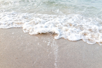 Wall Mural - Closeup of wave crashing, covering one dead fish washed ashore during storm in Miami, Florida during sunset on sand