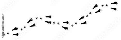 Free Free Paw Print Trail Svg 233 SVG PNG EPS DXF File