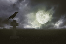 Halloween Background With Raven And Grave