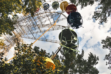 Wheel in the summer, in a park among green trees.