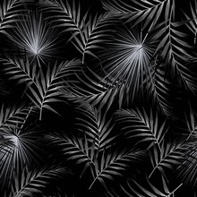 Seamless Black White Pattern With Tropical Palm Leaves. Black Background. Tropical Illustration. Jungle Foliage.