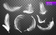 Set Of Isolated Falling White Fluffy Twirled Feathers On Transparent Background In Realistic Style. Vector Illustration