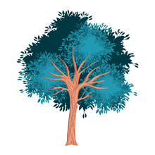 Tree Painted Watercolor Style Vector Illustration Design
