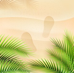 Wall Mural - Palm tree leaves on summer background