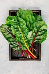 Wall Mural - Fresh raw swiss rainbow chard leaves on gray stone background.