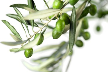 Poster - Green olives with a branch isolated on white